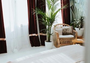 Musa Antwerp