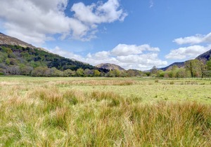 Mynydd Annedd Cottage