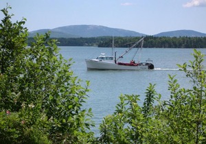 Narrows Too Camping Resort Cabin 2