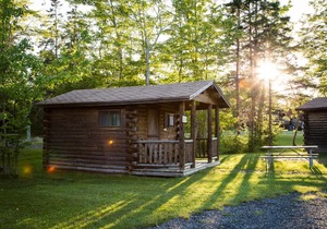 Narrows Too Camping Resort Cabin 4