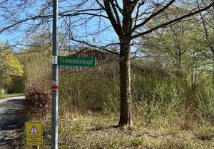 Natur Pur - Waldurlaub im Tiny House