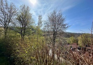 Natur Pur - Waldurlaub im Tiny House