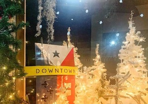 New Condo - Sleeps 4 - Downtown Lafayette! #208
