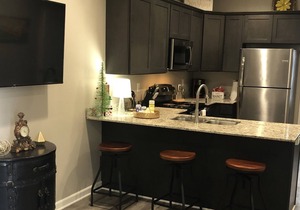 New Condo - Sleeps 4 - Downtown Lafayette! #208