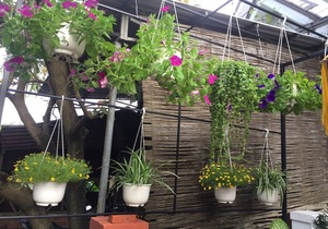 New Destination Hoi An Homestay