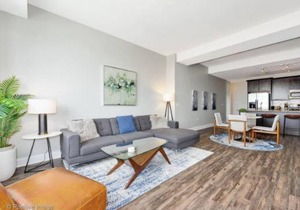 New! Spacious 3BR Apartment near McCormick Place