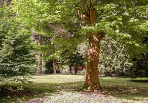 Nice apartment for 6 people with WIFI, hot tub, TV, patio, pets allowed and parking