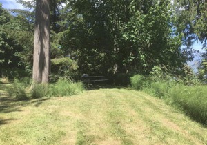 Ocean View Tent Site T1 | 0 Bed, 1 Bath