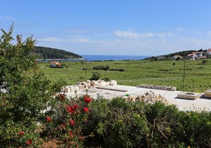 One bedroom apartment with terrace and sea view Lumbarda, Korčula (A-4429-b)