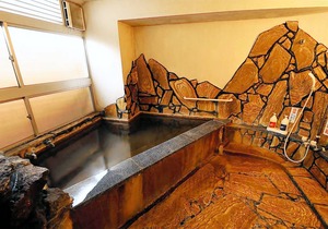 Onsen Inn Hamayu Nagi