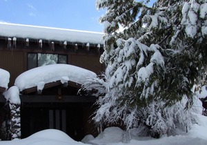 Panoramic Lake Views Rocky Ridge #47