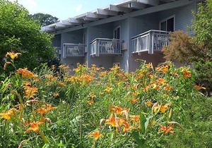 Paradise Inn Bennington