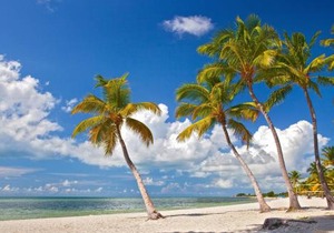 Paradise Place by AvantStay Key West Old Town Condo w Shared Pool