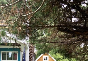 Peaks Island Peak-A-Blue Cottage sleeps 8