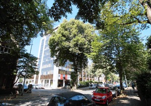 Pen Dinas Cardiff Apartment