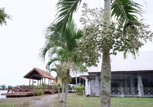 PENDANG LAKE RESORT
