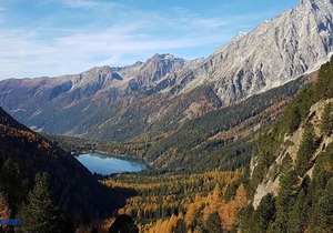 Pension Fürhapter mit Bio- Bauernhof