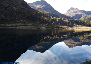 Pension Fürhapter mit Bio- Bauernhof