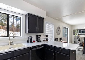 Penthouse in the Pines (Including Basement Unit)