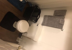 Pet Friendly Studio Apartment Next to Downtown Bangor