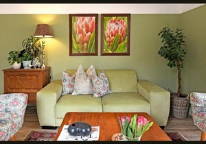 Petit & Grande Plaisir luxury self-catering