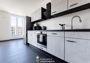 Pineapple Apartments Dresden Altstadt III - 91 qm - 1x free parking