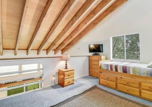 Pines 4013