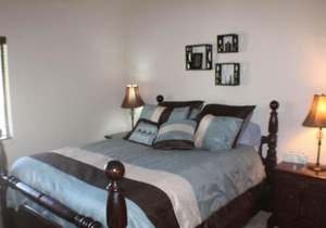 Pines 4031