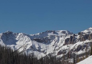 Pines 4039