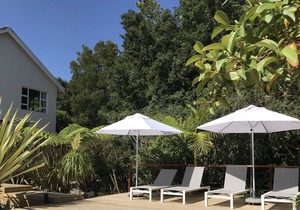 Pure relaxation @Armadillo Studio 2
