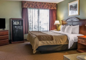 Quality Inn and Suites Ann Arbor Hwy 23