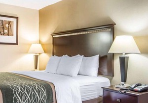 Quality Inn Macomb near University Area