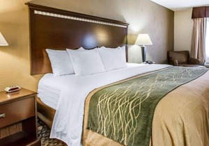Quality Inn Macomb near University Area