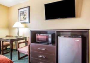 Quality Inn Morton at I-74