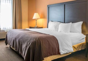 Quality Inn & Suites Niles