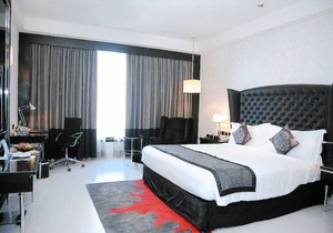 Radisson Blu Hotel New Delhi Paschim Vihar