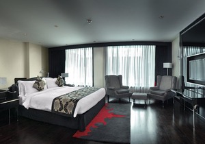 Radisson Blu Hotel New Delhi Paschim Vihar