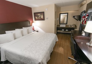 Red Roof Inn PLUS+ Chicago - Willowbrook