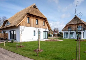 Reethus Reethus 3