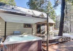 Relaxing Tahoma Cabin with High End Hot Tub