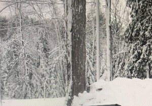 Renovated Lakeside Cottage#5, Hot Tub,Fishing Pier,Boats,Snowmobile off property