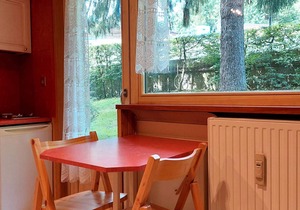 Renovated studio in Chamonix, near center and cable car, pets allowed, parking