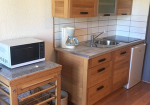 Renovated studio in Chamonix with balcony, pets allowed, parking