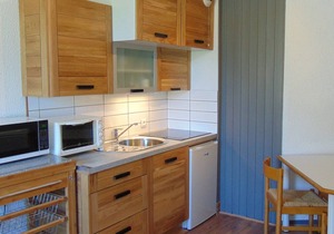 Renovated studio in Chamonix with balcony, pets allowed, parking