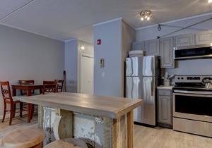 Renovated Studio, Hiking, Swim, Saco River, North Conway, Mt. Washington Valley