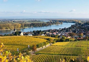 Rhein-Hotel Nierstein