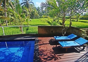 Ricefields View Villa Ubud One Bedroom