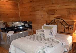 River Trail Cabin #3 Cabin on the Creeper Trail And Laurel Creek