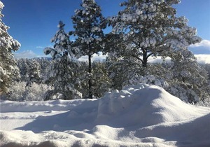 Rocky Mountain Way Home