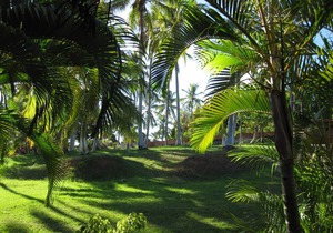 Room 1 in a Sitio